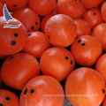 barrier floats/surface marker bouy